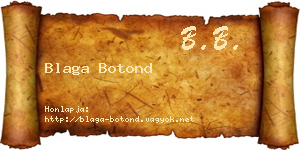 Blaga Botond névjegykártya